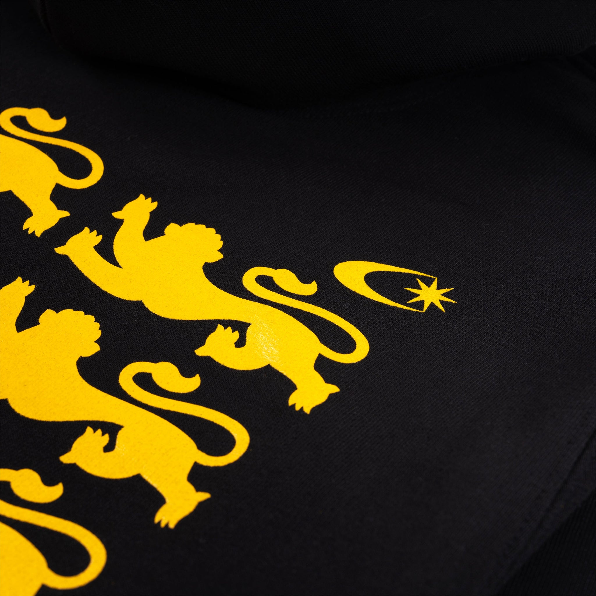 12 Lions Hoodie - Dellafuente F.C.