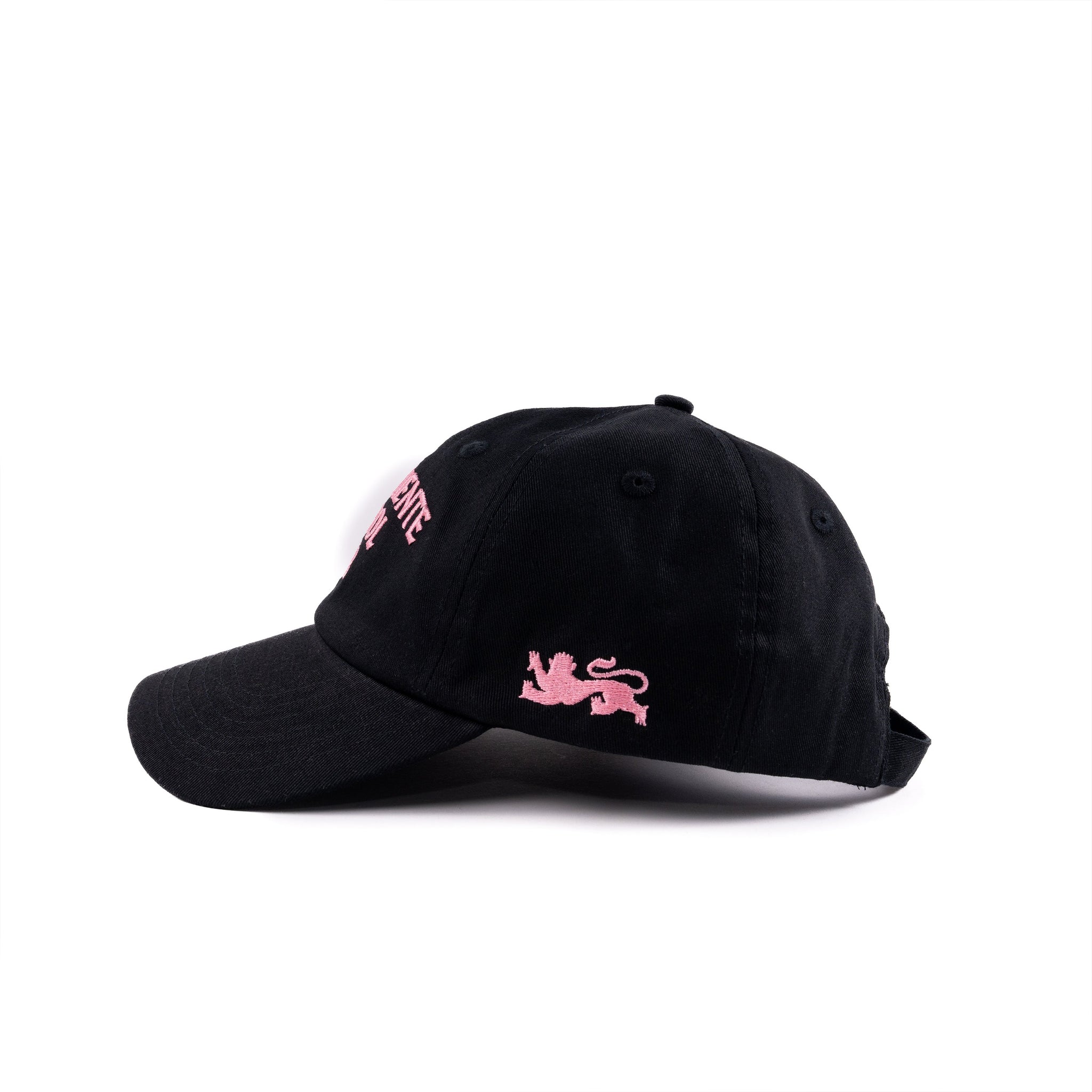 Lions DLFC Hat - Dellafuente F.C.