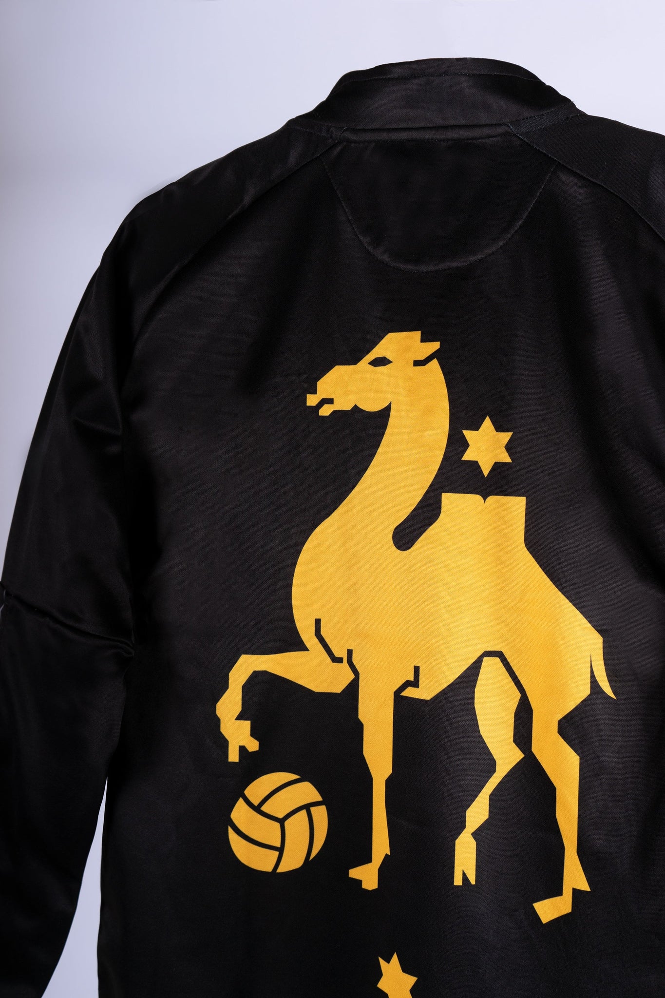 Camel Tracksuit